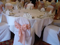 Chair Cover Pink Taffeta